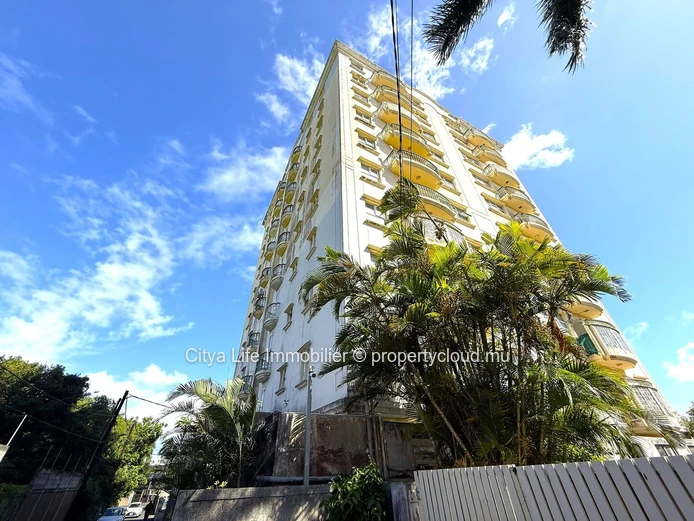 Ce spacieux et luxueux penthouse est désormais disponible à la vente !