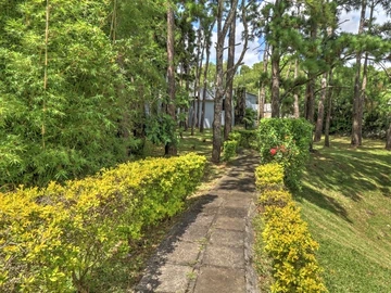 Commercial Land