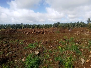Agricultural Land