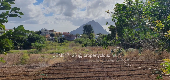 Freehold Residential & Commercial Land for Sale – Solferino No 5, Vacoas 