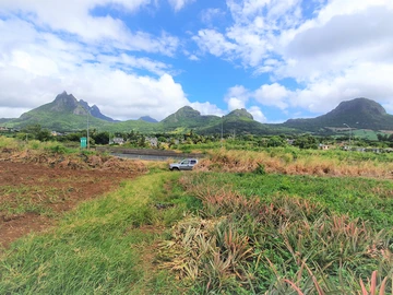 Agricultural Land