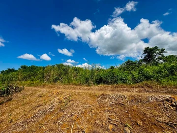 Agricultural Land