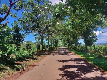 Residential Land
