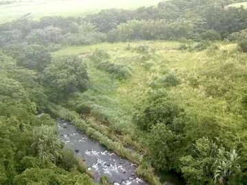 Agricultural Land
