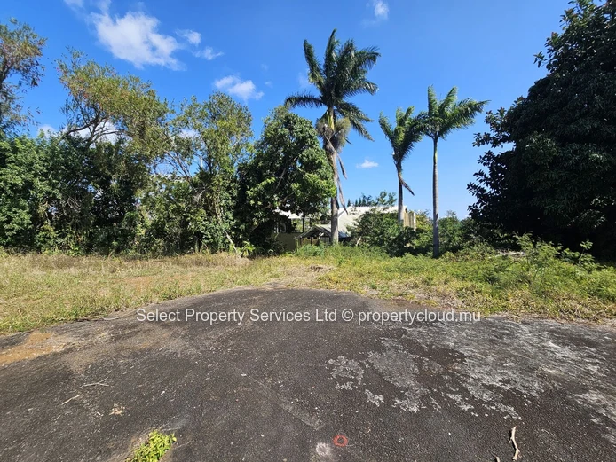 Prime Freehold Land for Sale in Moka