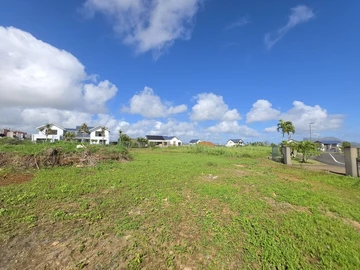 Terrain