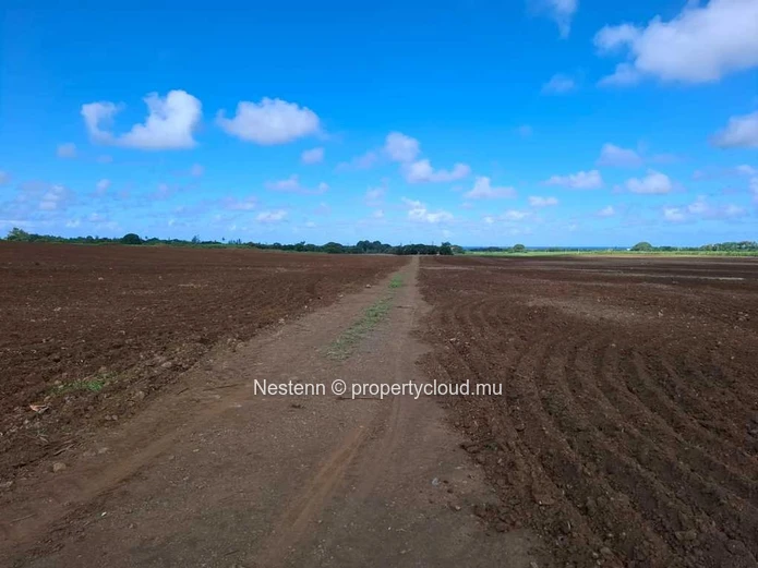 Industrial land of 59092 m² with sea and mountain views.