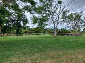 Residential Land