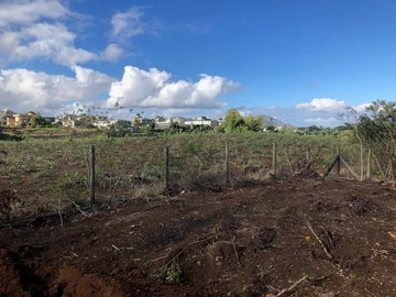 Terrain Agricole