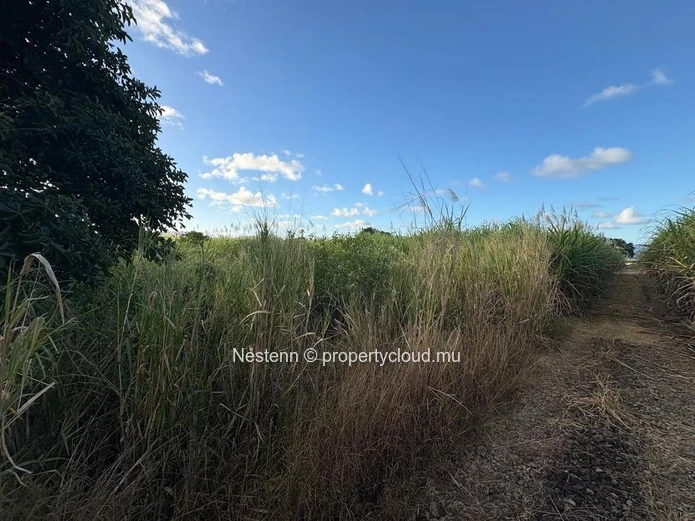 Terrain agricole de première qualité à vendre – 1 729,80 m² à Mare d'Albert