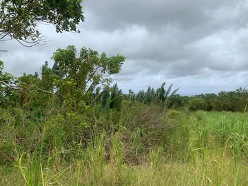 Agricultural Land