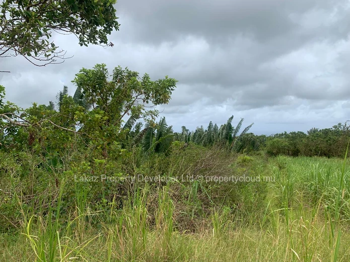 Agricultural Land for Sale - Bois cheri 
