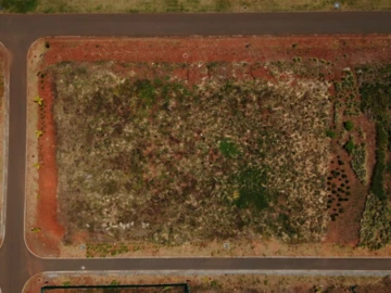 Terrain