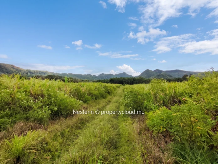 Terrain agricole et fertile de 2567.27m2