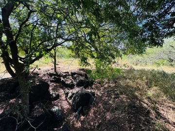 Residential Land