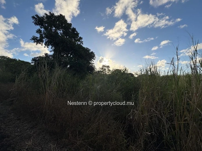 Terrain agricole de première qualité à vendre – 1 729,80 m² à Mare d'Albert