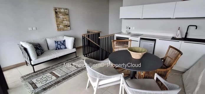 Penthouse for rent