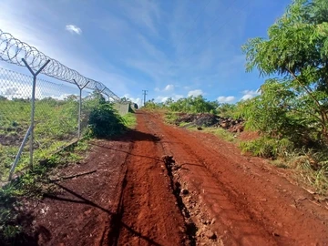 Agricultural Land