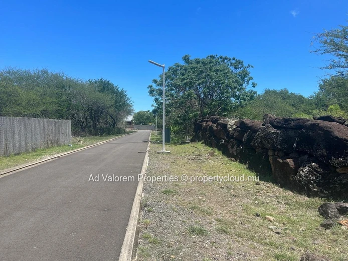 Land for sale in Black River.