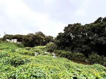 Terrain Résidentiel