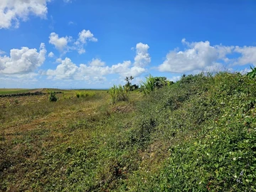 Agricultural Land