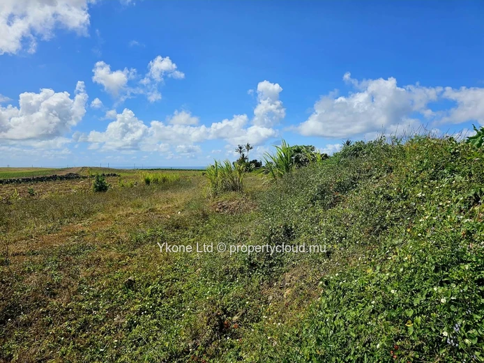 Terrain Agricole En Vente À Plein Bois