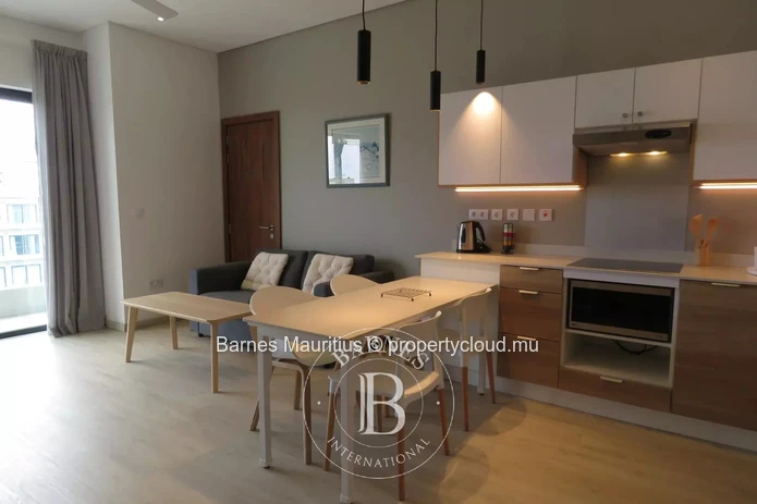 RÉDUIT - Penthouse neuf avec ascenseur - 1 chambre