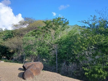 Residential Land