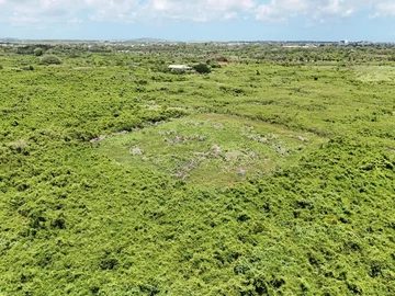Agricultural Land
