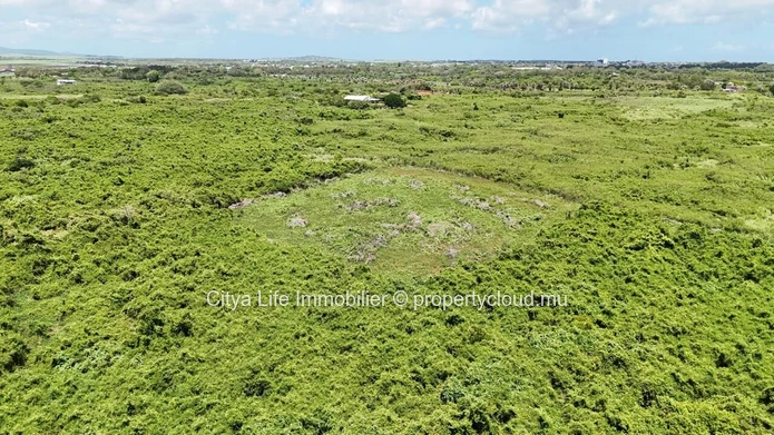 Terrain agricole de 4 500 m² à vendre à Saint Antoine