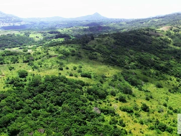 Terrain Agricole