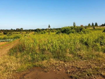 Agricultural Land