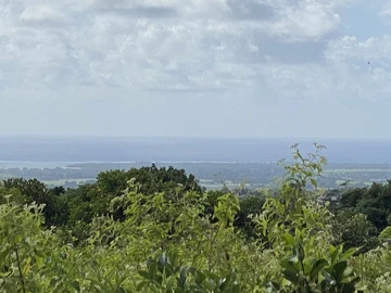 Terrain Agricole