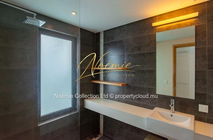 A vendre Penthouse D'exception à Choisy Les Bains -avec Jacuzzi Privatif