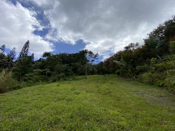 Terrain Résidentiel