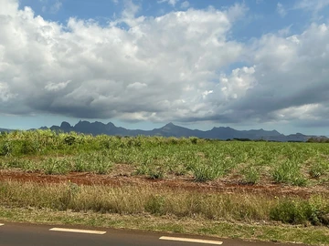 Residential Land
