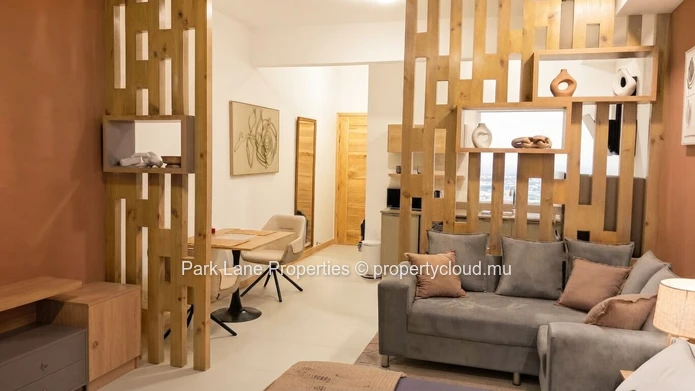Elegant & Stylish Fully Furnished Studio in a New Residence – Côte d’Or