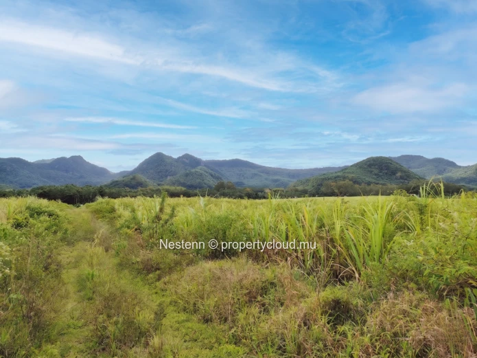 Terrain agricole et fertile de 2567.27m2