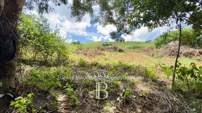 BAIE DU CAP – Terrain agricole avec vue mer et montagne - 4 789 m²