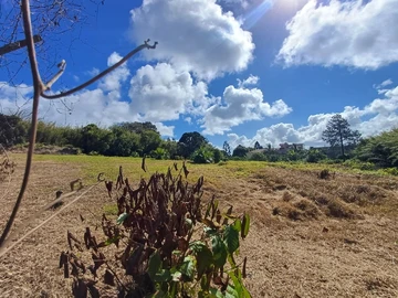 Residential Land