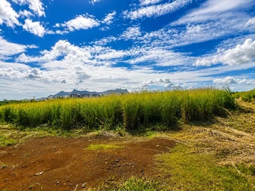 Agricultural Land
