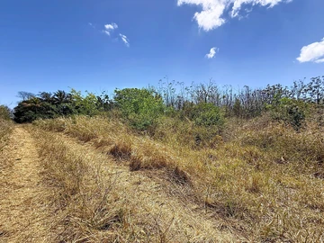 Terrain