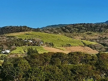 Agricultural Land