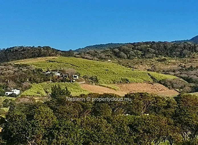 Terrain de 35 981 m2 avec vue époustouflante sur tout le Sud sauvage, idéal pour un projet immobilier