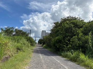 Commercial Land
