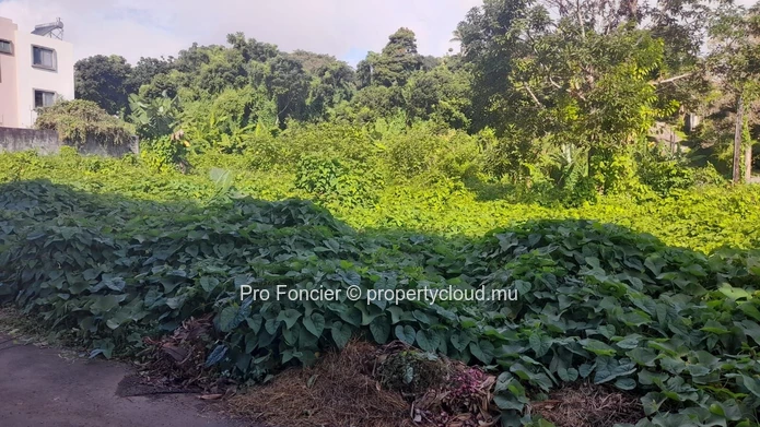 Plot of land for sale in Floreal - Good investment.