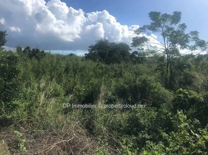 Land for sale