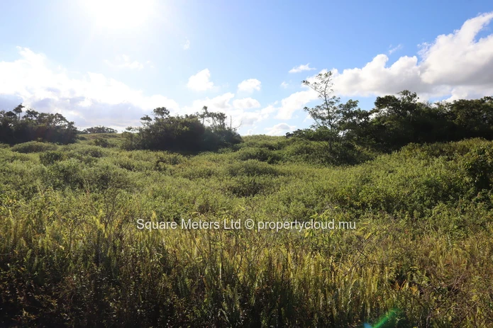 Terrain agricole de 2 111 m² à vendre à Melrose (Mandat exclusif)