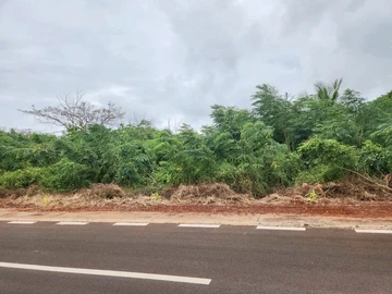 Commercial Land