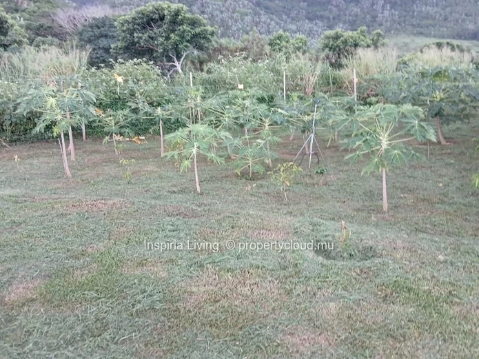 Farm for sale in Chamouny — Sea & Mountain Views